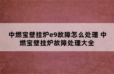 中燃宝壁挂炉e9故障怎么处理 中燃宝壁挂炉故障处理大全